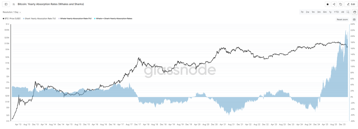 Shark Whale Absorption